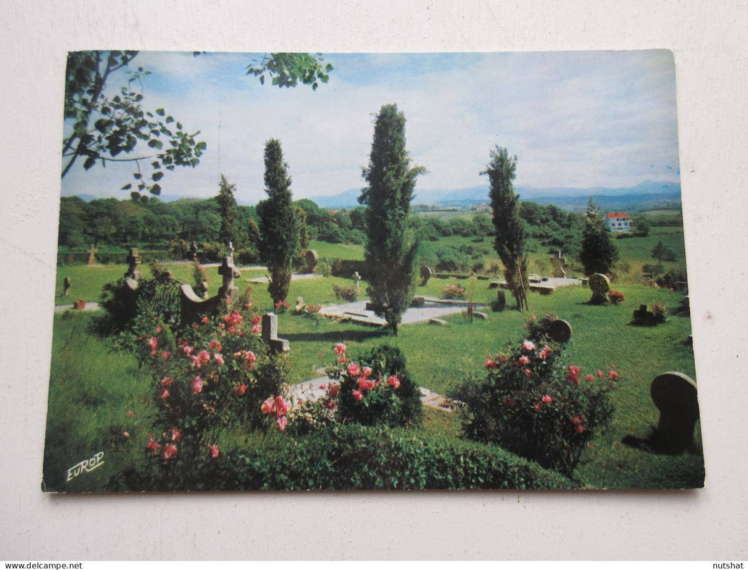 CP CARTE POSTALE PYRENEES ATLANTIQUES ARCANGUES Le VIEUX CIMETIERE               - Altri & Non Classificati