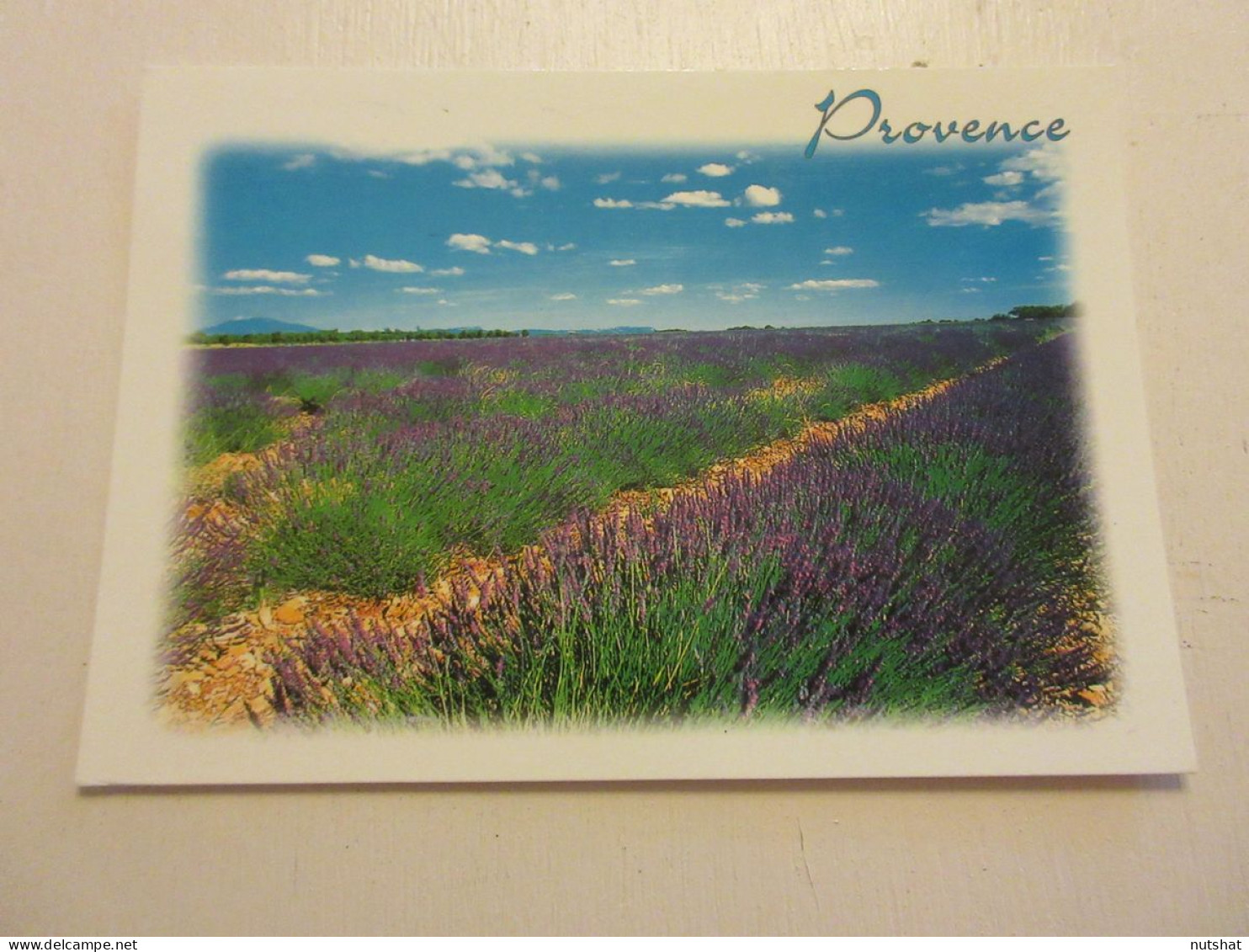 CP CARTE POSTALE PROVENCE Les MERVEILLES CHAMP De LAVANDE - Ecrite En 2008       - Blumen