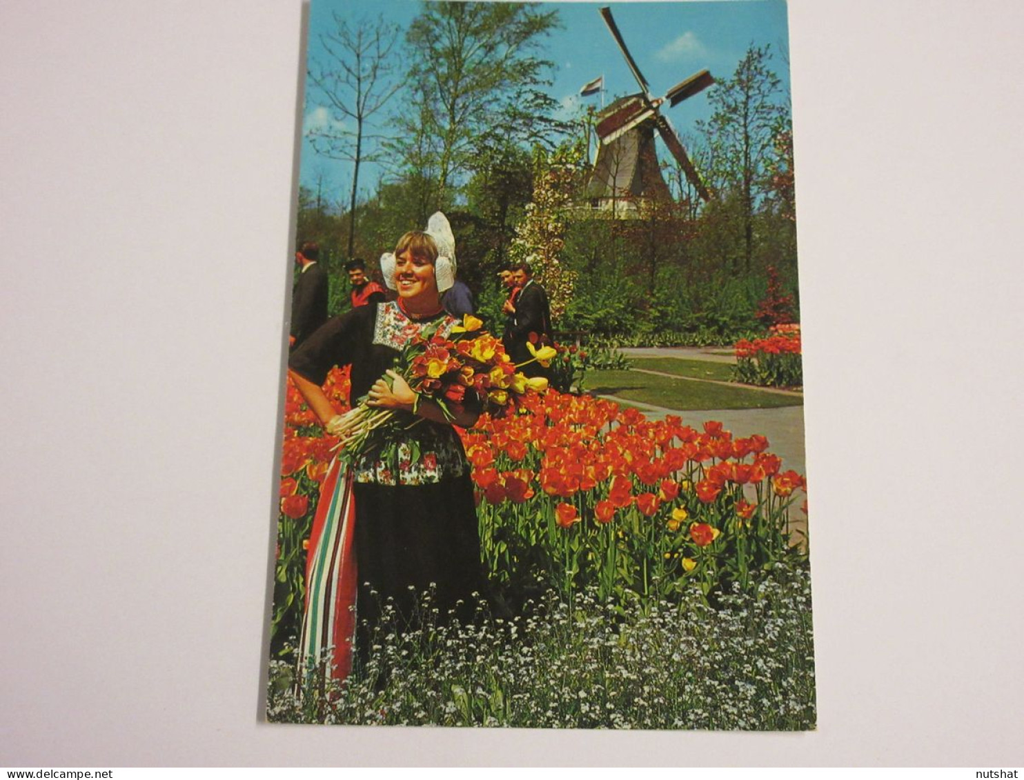 CP CARTE POSTALE PAYS-BAS MOULIN TULIPES Et PARURES De FLEURS - Ecrite En 1977 - Andere & Zonder Classificatie