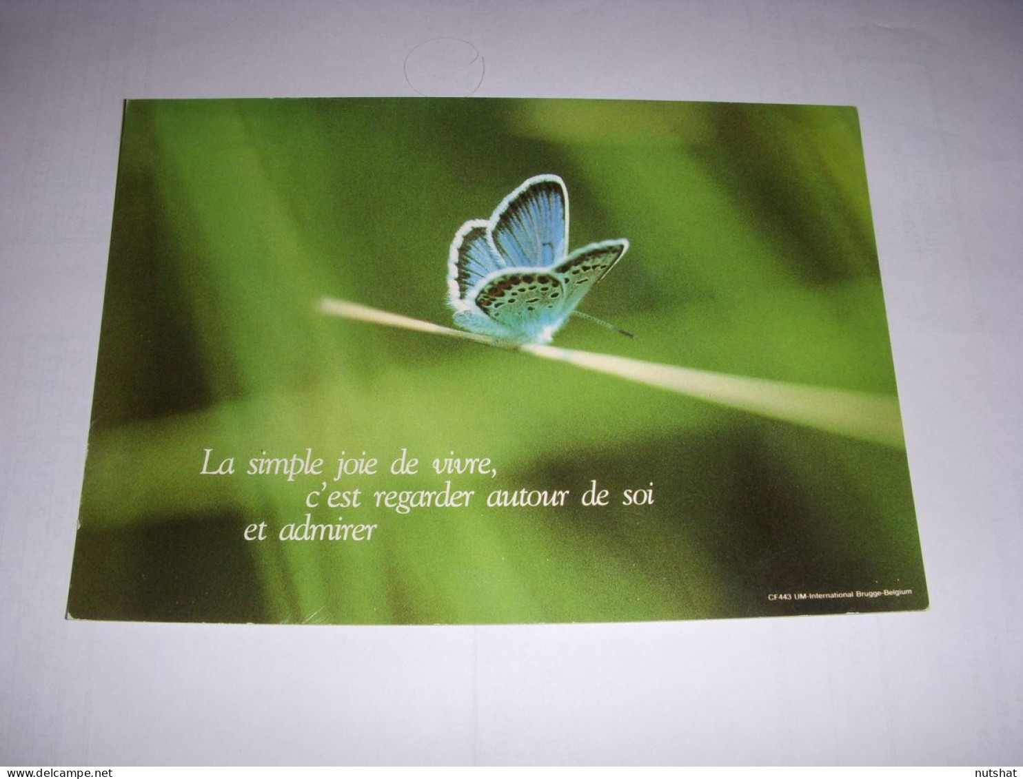 CP CARTE POSTALE MESSAGE PAPILLON La Simple Joie De Vivre... ECRITE - Mariposas