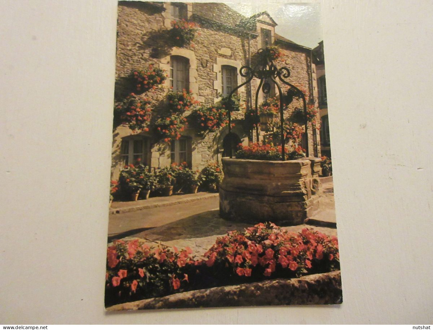 CP CARTE POSTALE MORBIHAN ROCHEFORT En TERRE Le PUITS FLEURI - Ecrite En 1979    - Rochefort En Terre