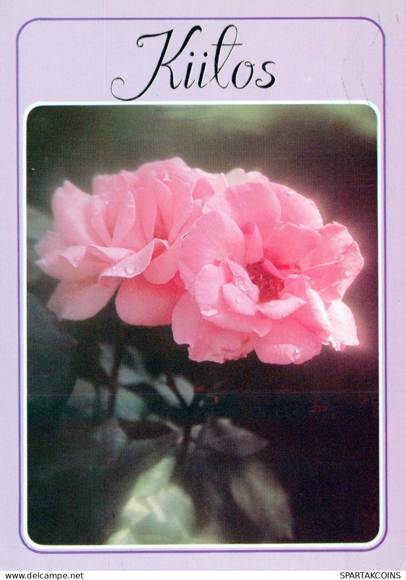 FLEURS Vintage Carte Postale CPSM #PAS100.FR - Blumen