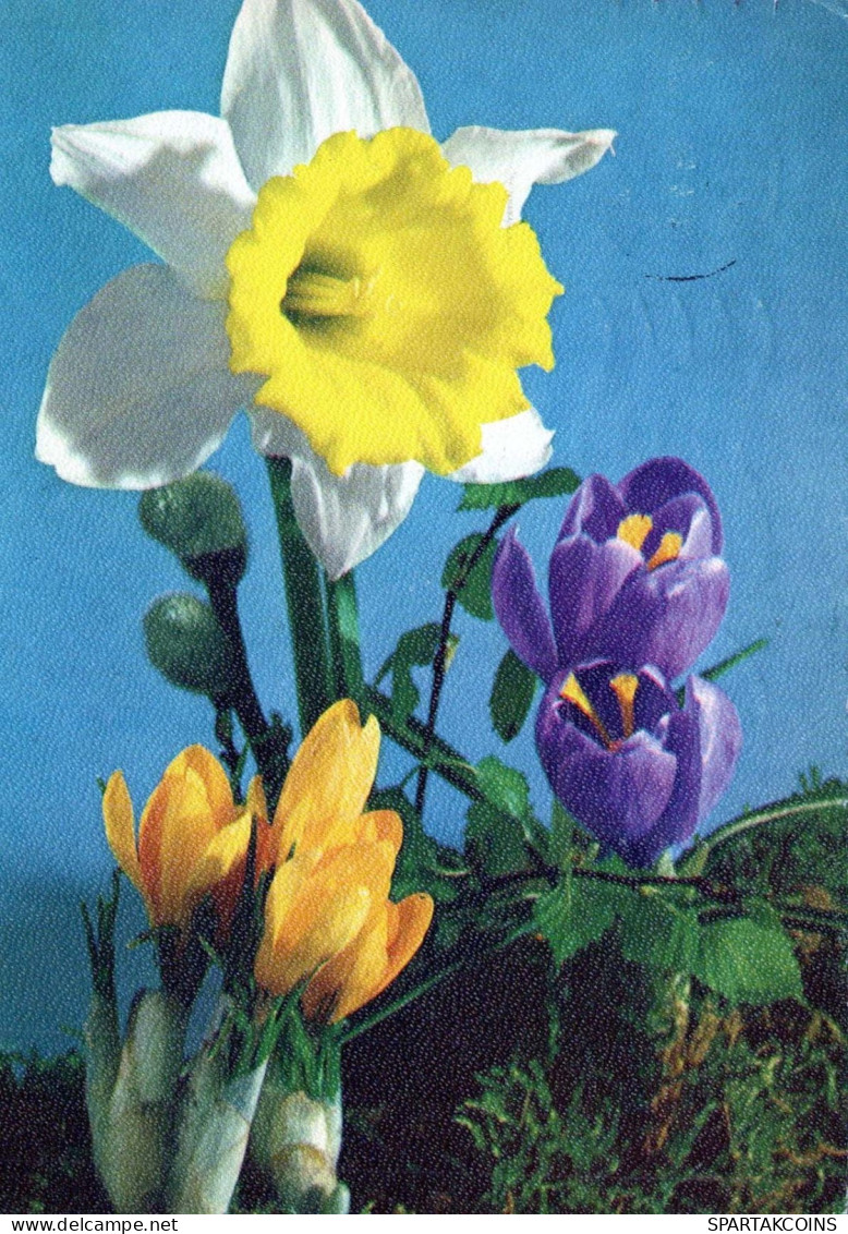FLEURS Vintage Carte Postale CPSM #PAR077.FR - Flowers