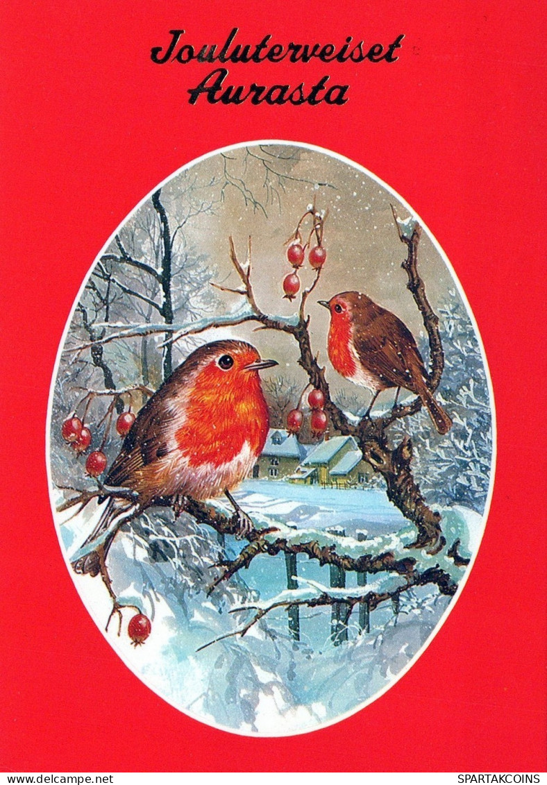 OISEAU Animaux Vintage Carte Postale CPSM #PAM933.FR - Pájaros