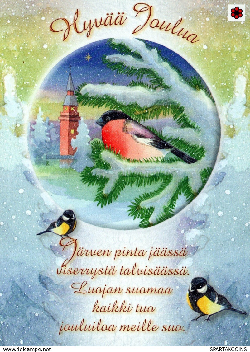 OISEAU Animaux Vintage Carte Postale CPSM #PAM871.FR - Birds