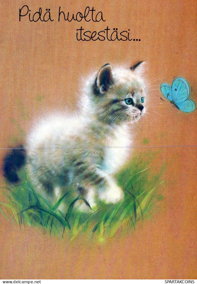 CHAT CHAT Animaux Vintage Carte Postale CPSM #PAM118.FR - Chats