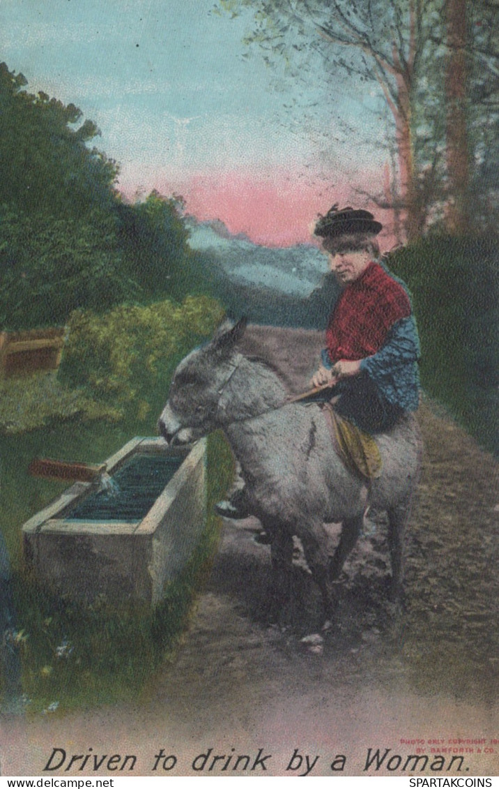BURRO Animales Vintage Antiguo CPA Tarjeta Postal #PAA163.ES - Donkeys