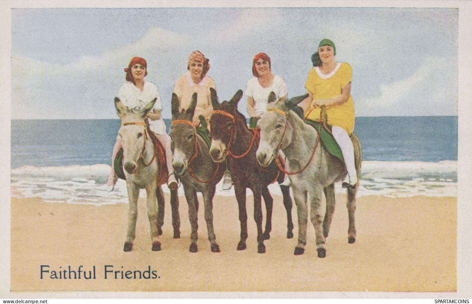 BURRO Animales Vintage Antiguo CPA Tarjeta Postal #PAA062.ES - Donkeys