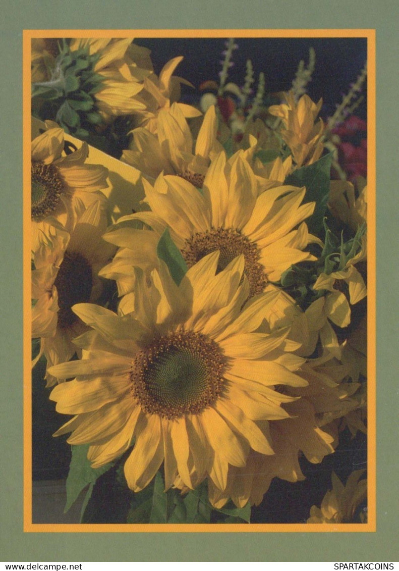 FLORES Vintage Tarjeta Postal CPSM #PBZ626.ES - Fleurs