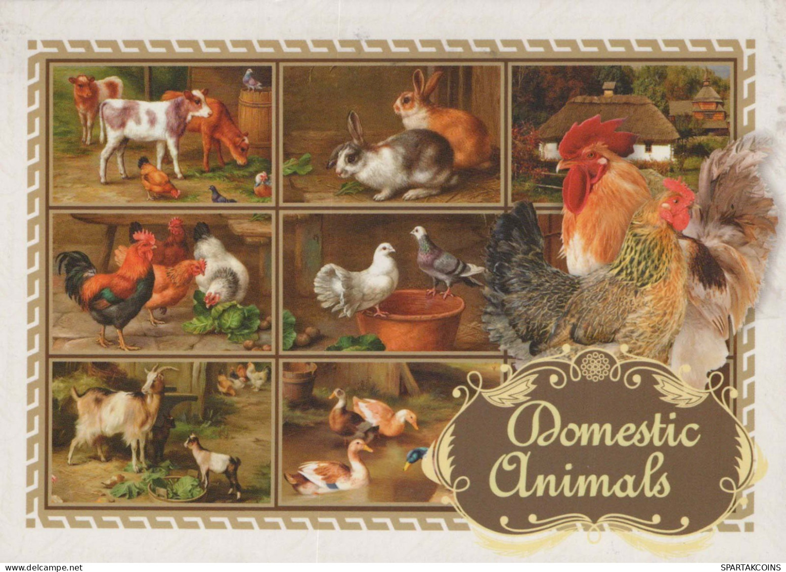 SALVAJE Animales Vintage Tarjeta Postal CPSM #PBS938.ES - Autres & Non Classés