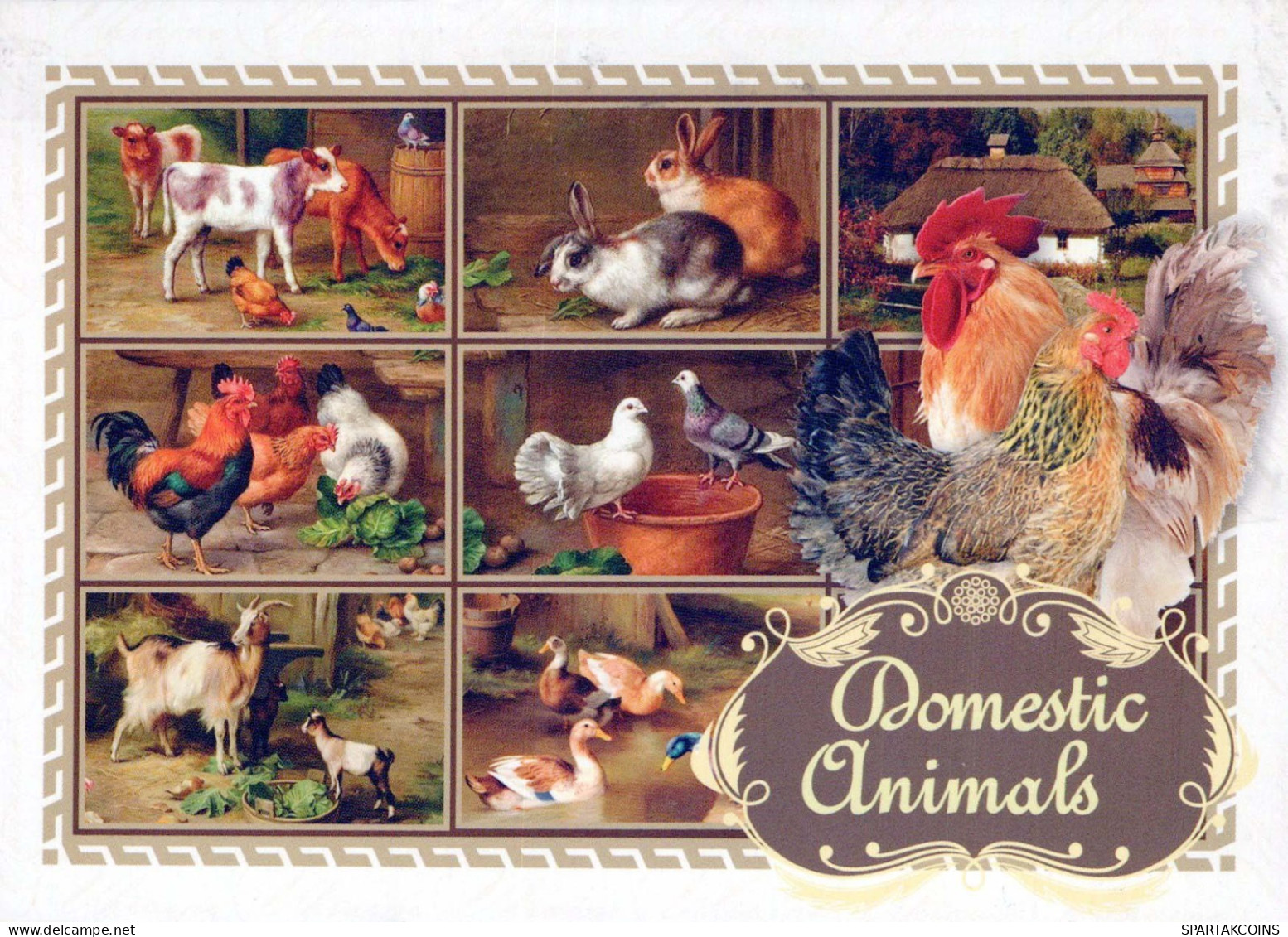 SALVAJE Animales Vintage Tarjeta Postal CPSM #PBS938.ES - Sonstige & Ohne Zuordnung