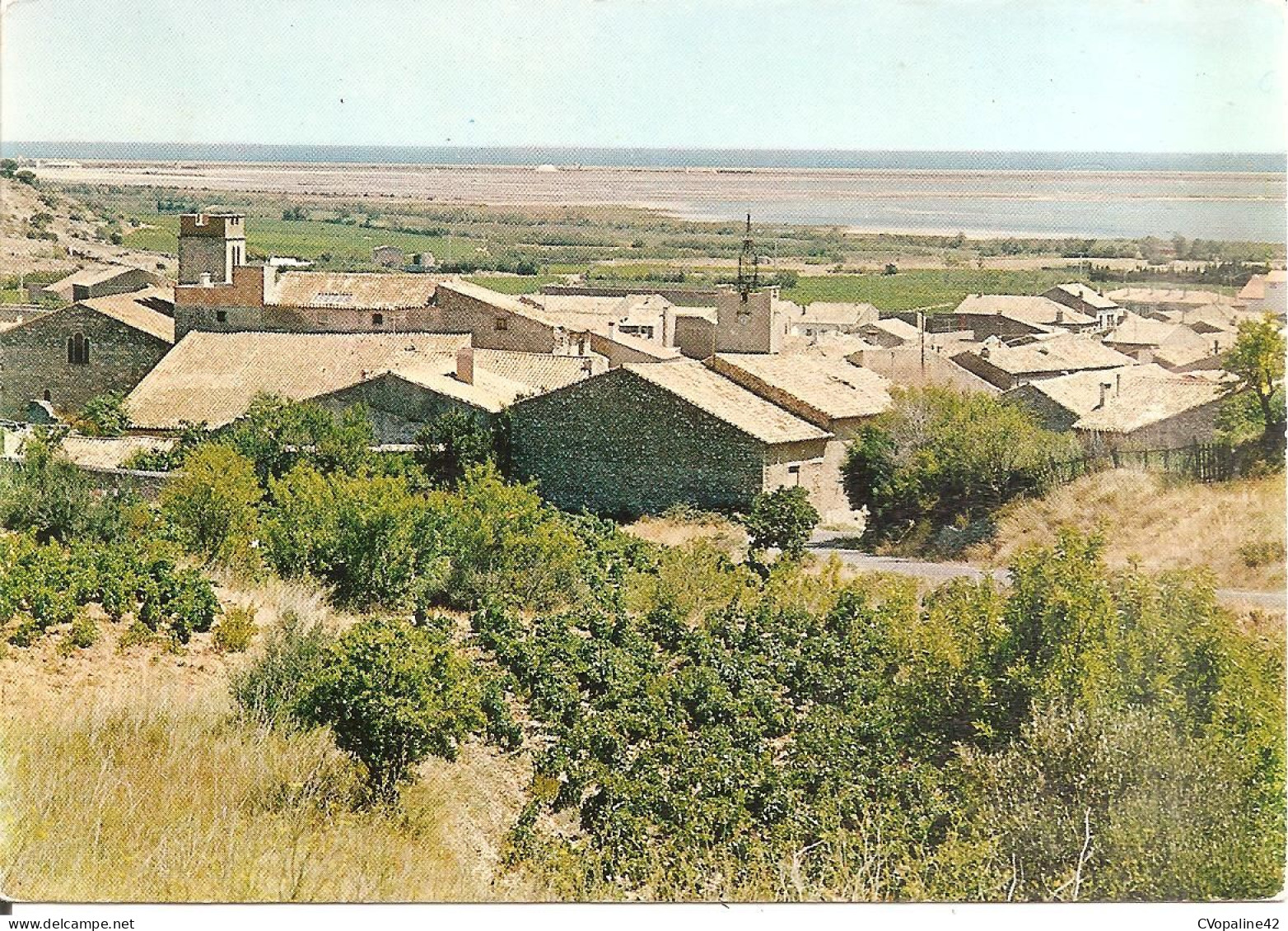 LA PALME (11) Les Etangs - Au Fond , La Plage En 1969  CPSM GF - Autres & Non Classés