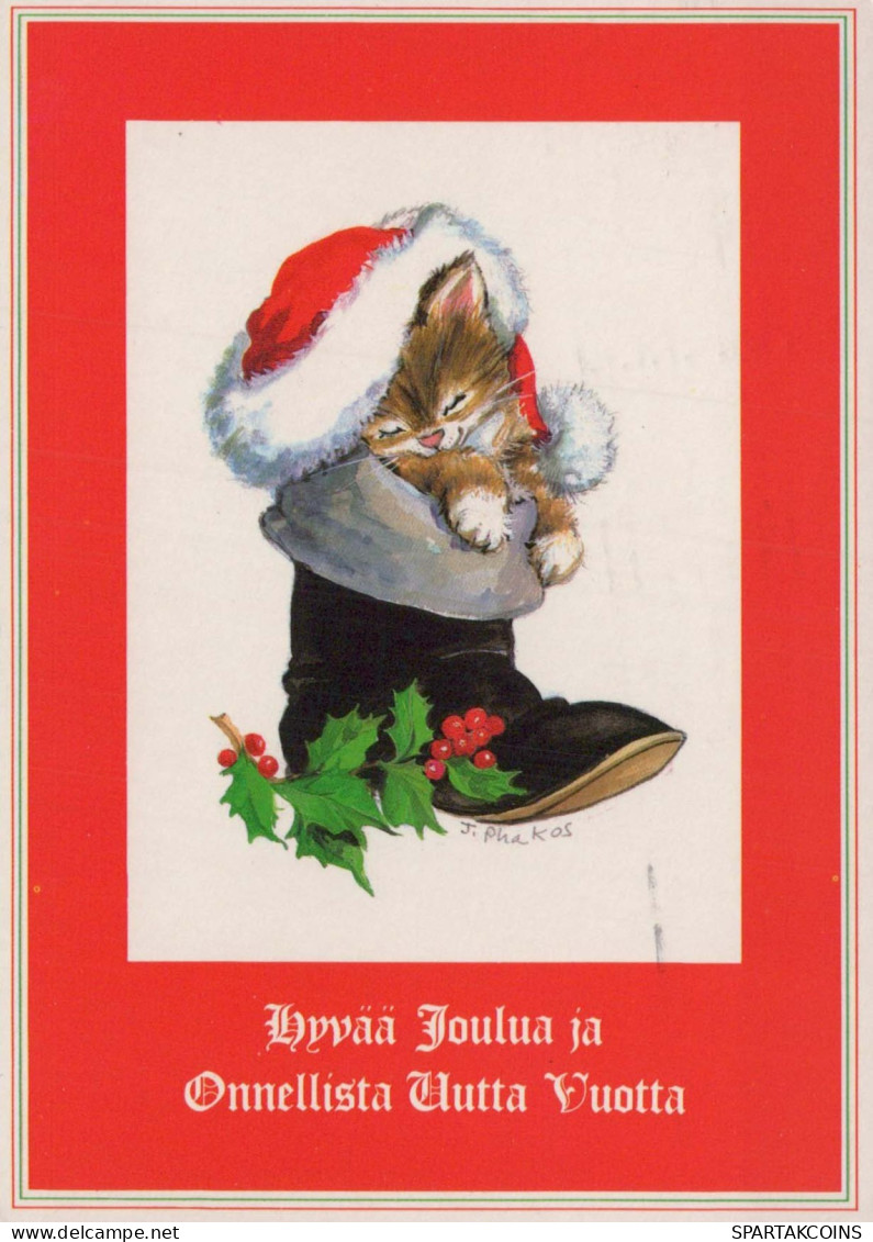 GATO GATITO Animales Vintage Tarjeta Postal CPSM #PBQ782.ES - Gatos