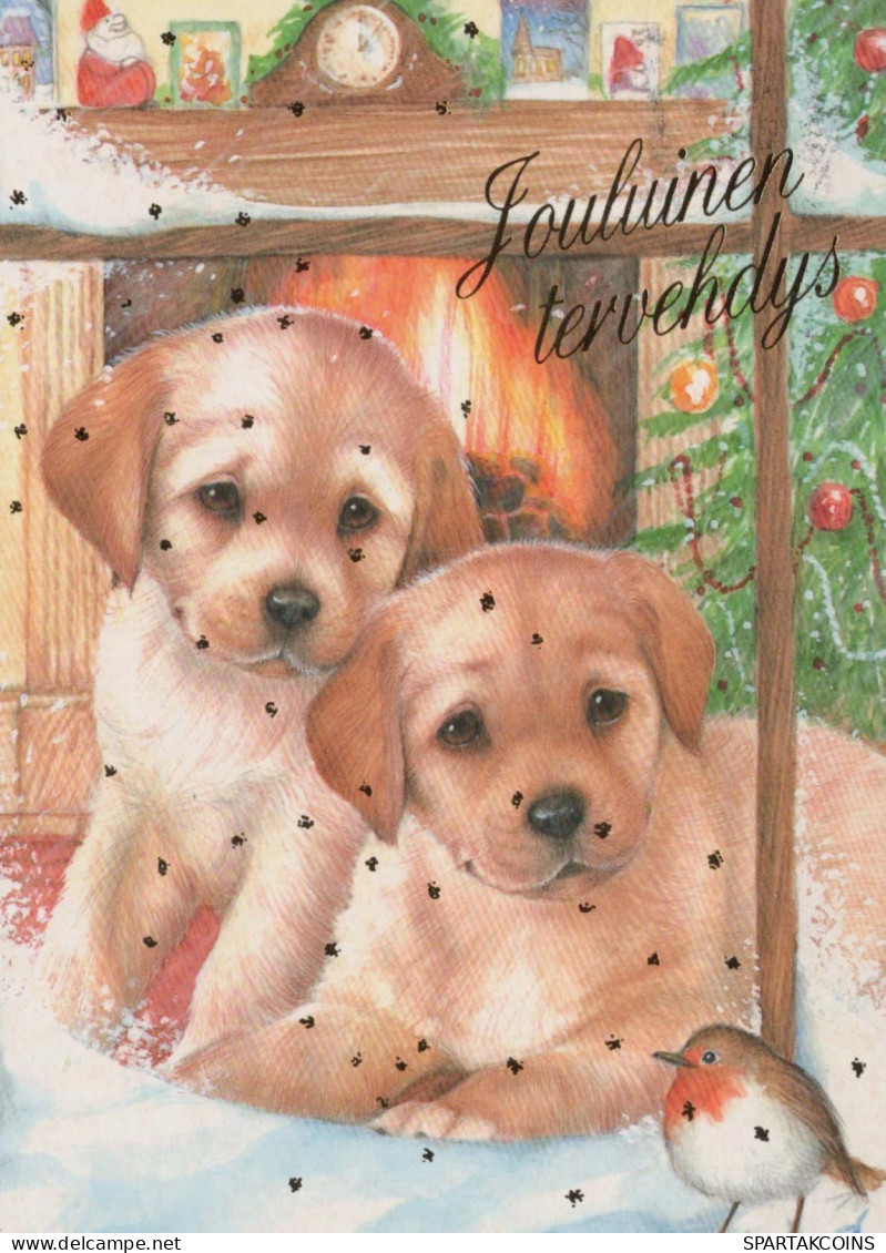 PERRO Animales Vintage Tarjeta Postal CPSM #PBQ514.ES - Dogs
