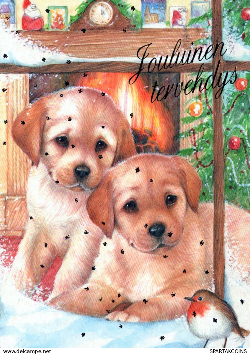 PERRO Animales Vintage Tarjeta Postal CPSM #PBQ514.ES - Hunde