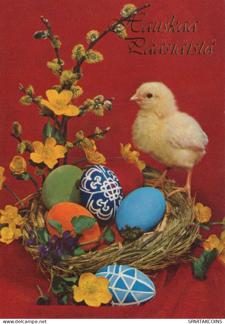 PASCUA POLLO HUEVO Vintage Tarjeta Postal CPSM #PBP113.ES - Easter