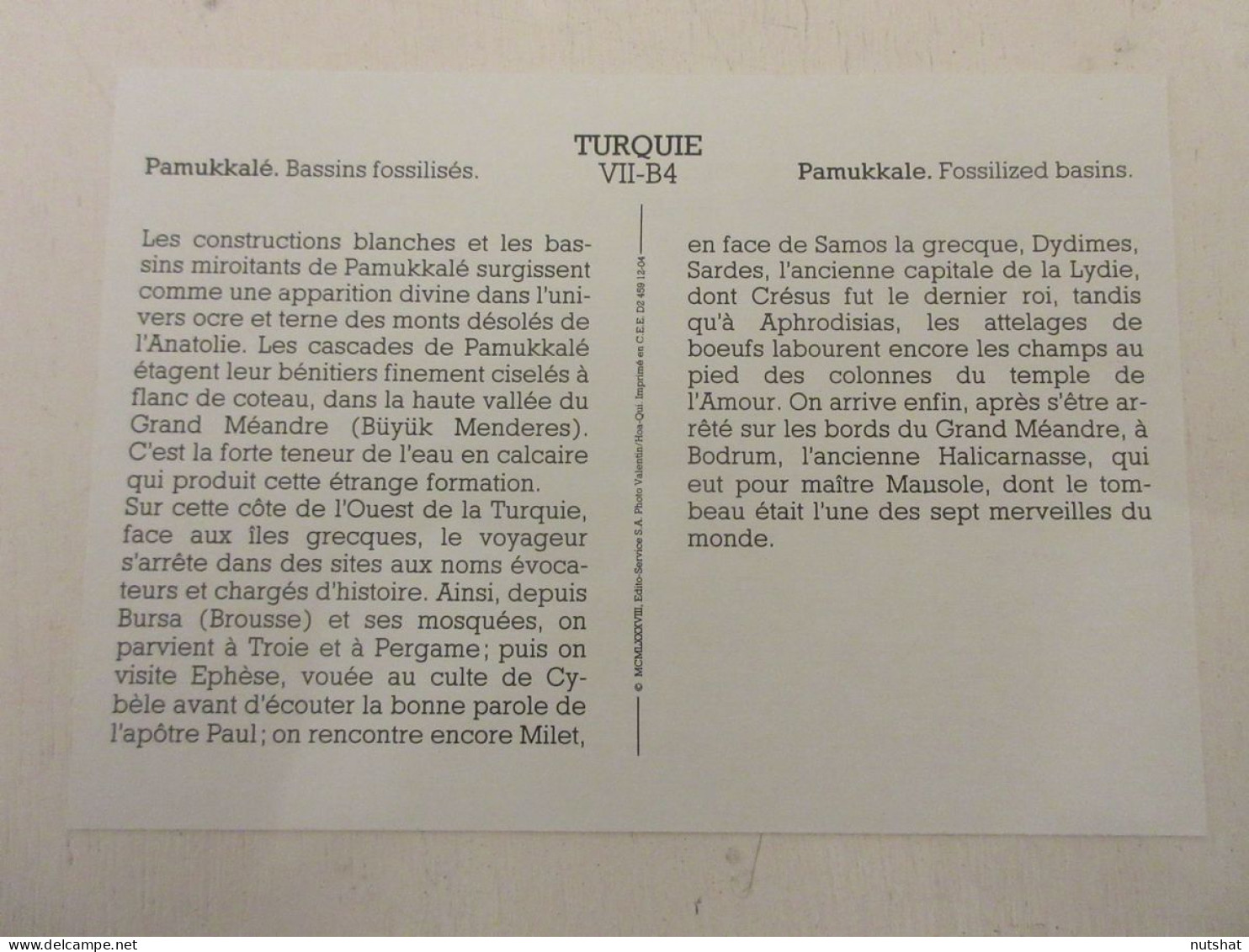 CP CARTE 07-B04 TURQUIE PAMUKKALE BASSINS FOSSILISES Et PETRIFIES - Turkije