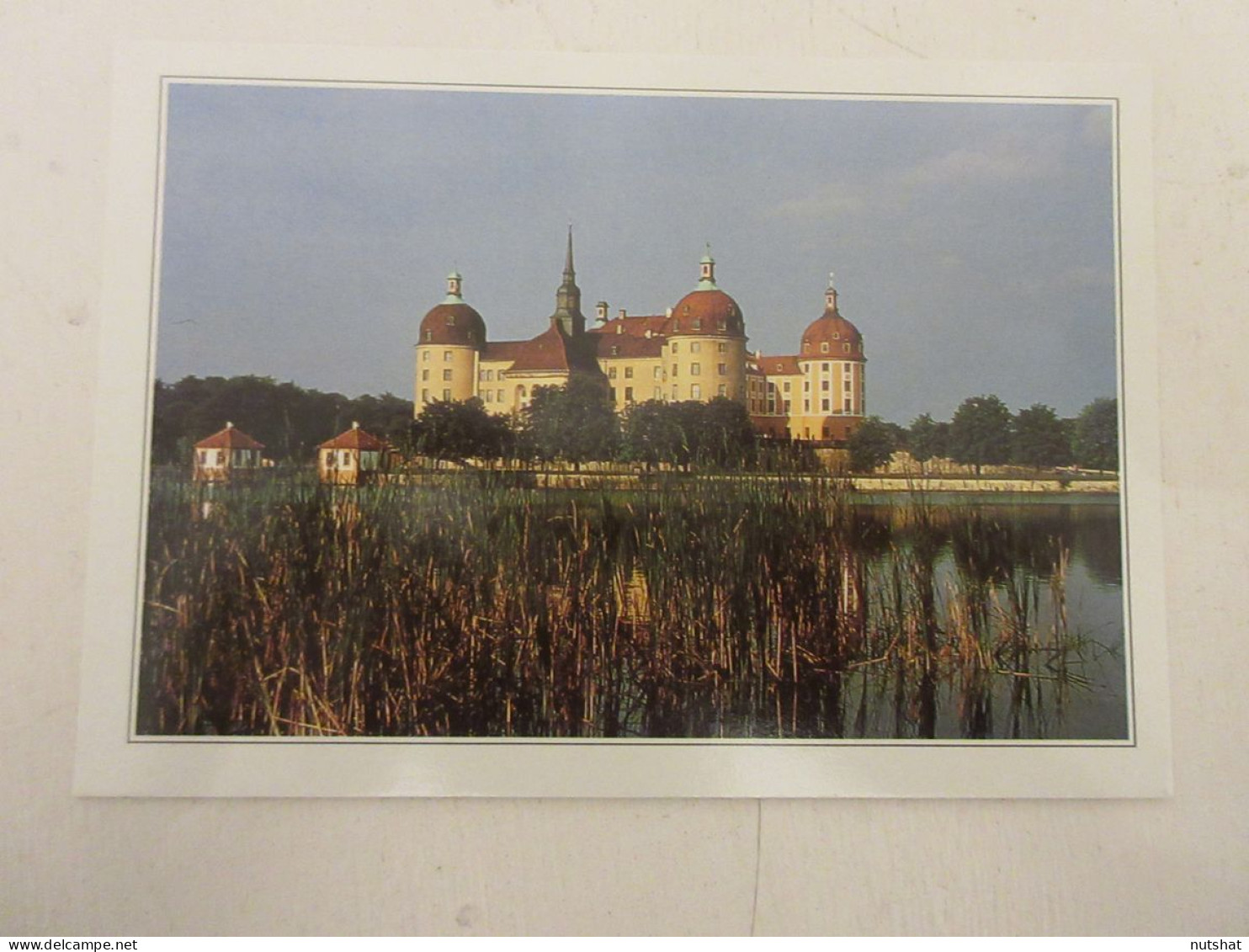 CP CARTE 04-A01 ALLEMAGNE SAXE Le CHATEAU De MORITZBURG  - Moritzburg