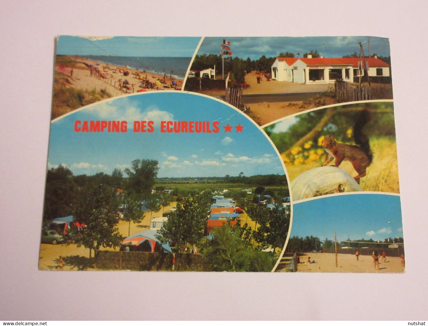 CP CARTE POSTALE VENDEE SAINT HILAIRE De RIEZ VUES DIVERSES - Ecrite En 1981 - Saint Hilaire De Riez