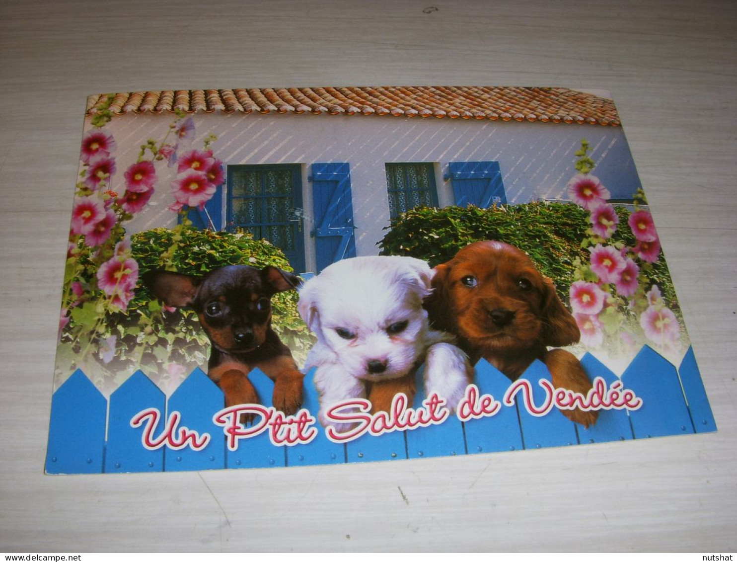 CP CARTE POSTALE VENDEE CHIENS Et ROSES TREMIERES - ECRITE En 2014 - Sonstige & Ohne Zuordnung