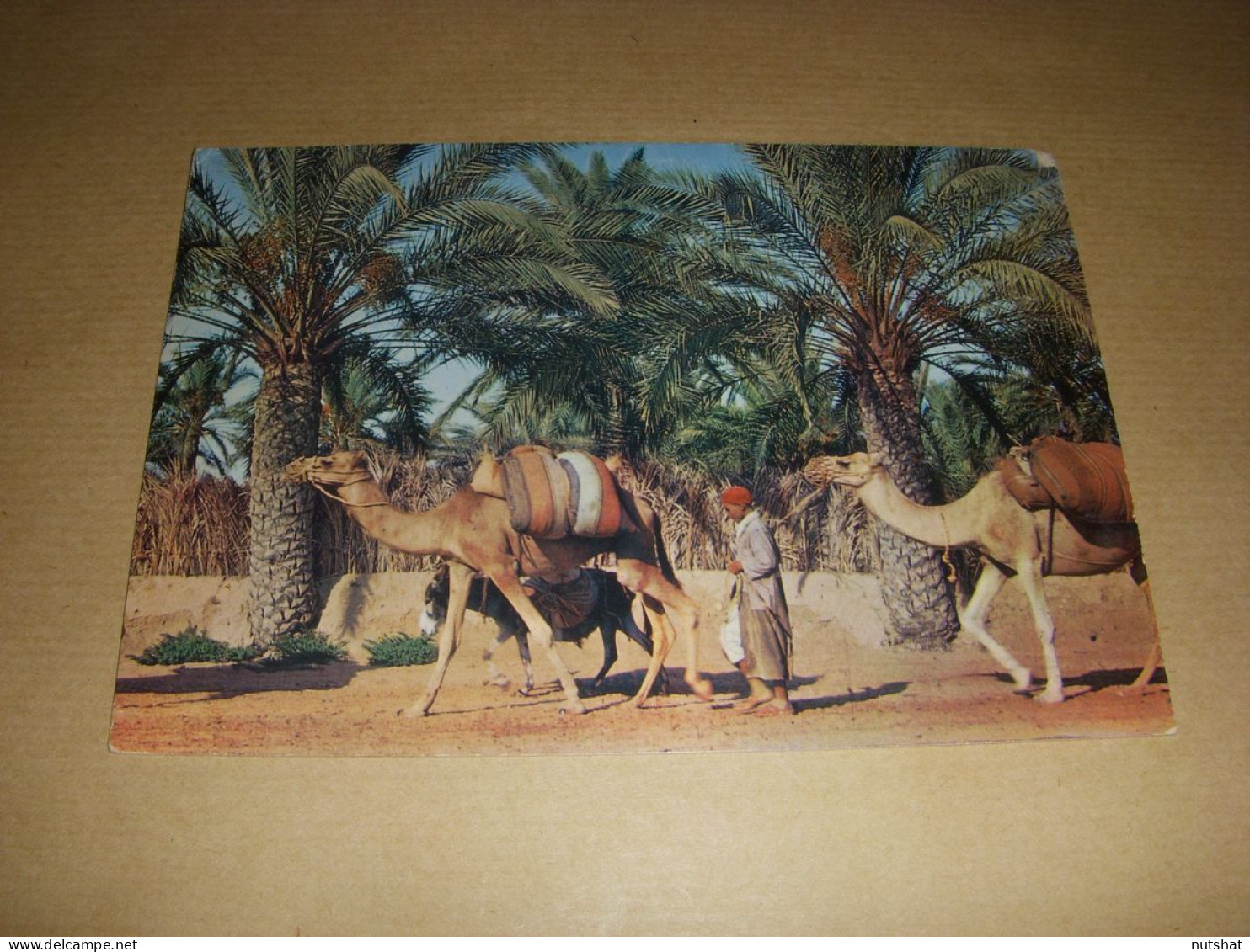 CP CARTE POSTALE TUNISIE GABES CARAVANE Dans La PALMERAIE - ECRITE En 1973 - Túnez