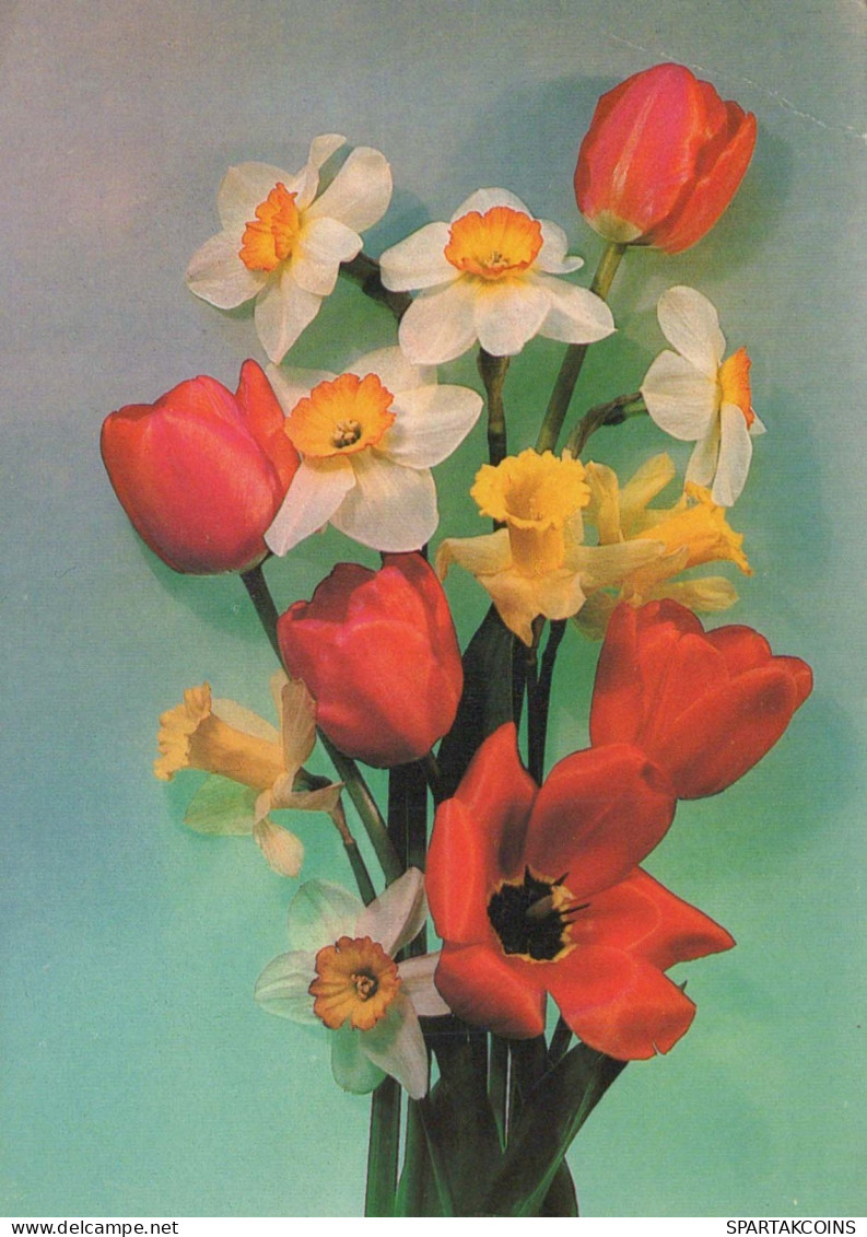 FLOWERS Vintage Postcard CPSM #PAR437.GB - Flowers