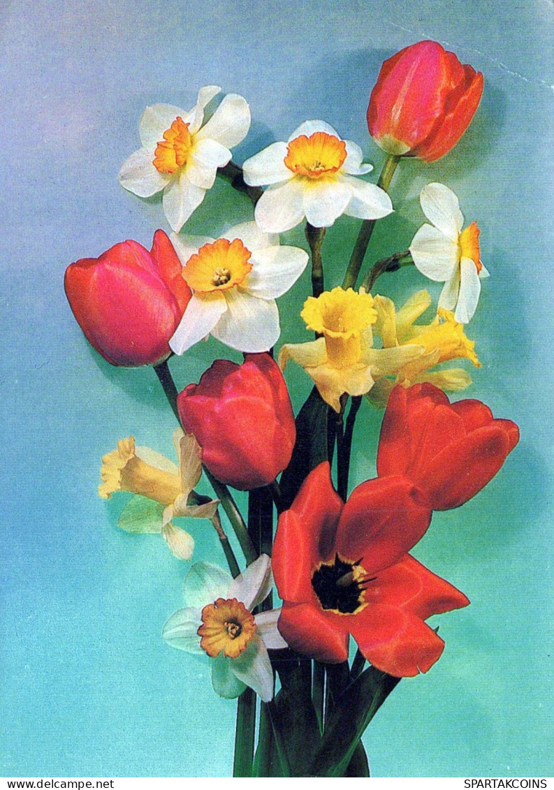 FLOWERS Vintage Postcard CPSM #PAR437.GB - Flowers