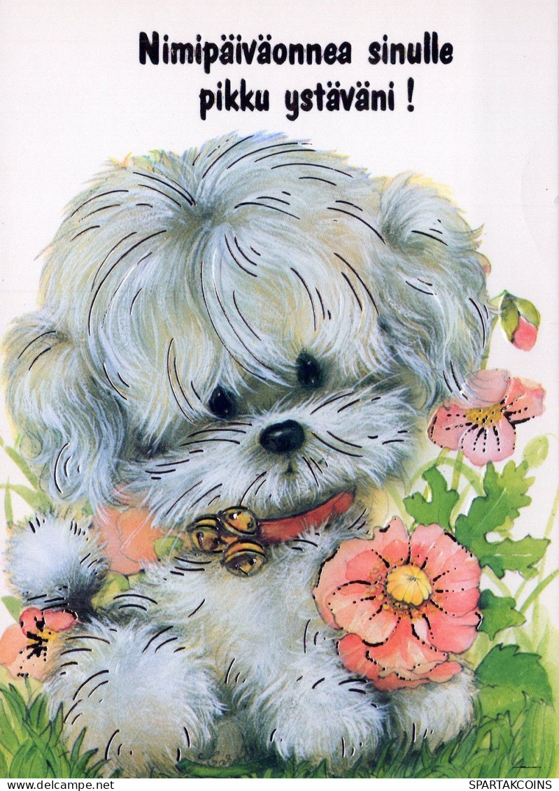 DOG Animals Vintage Postcard CPSM #PAN754.GB - Hunde