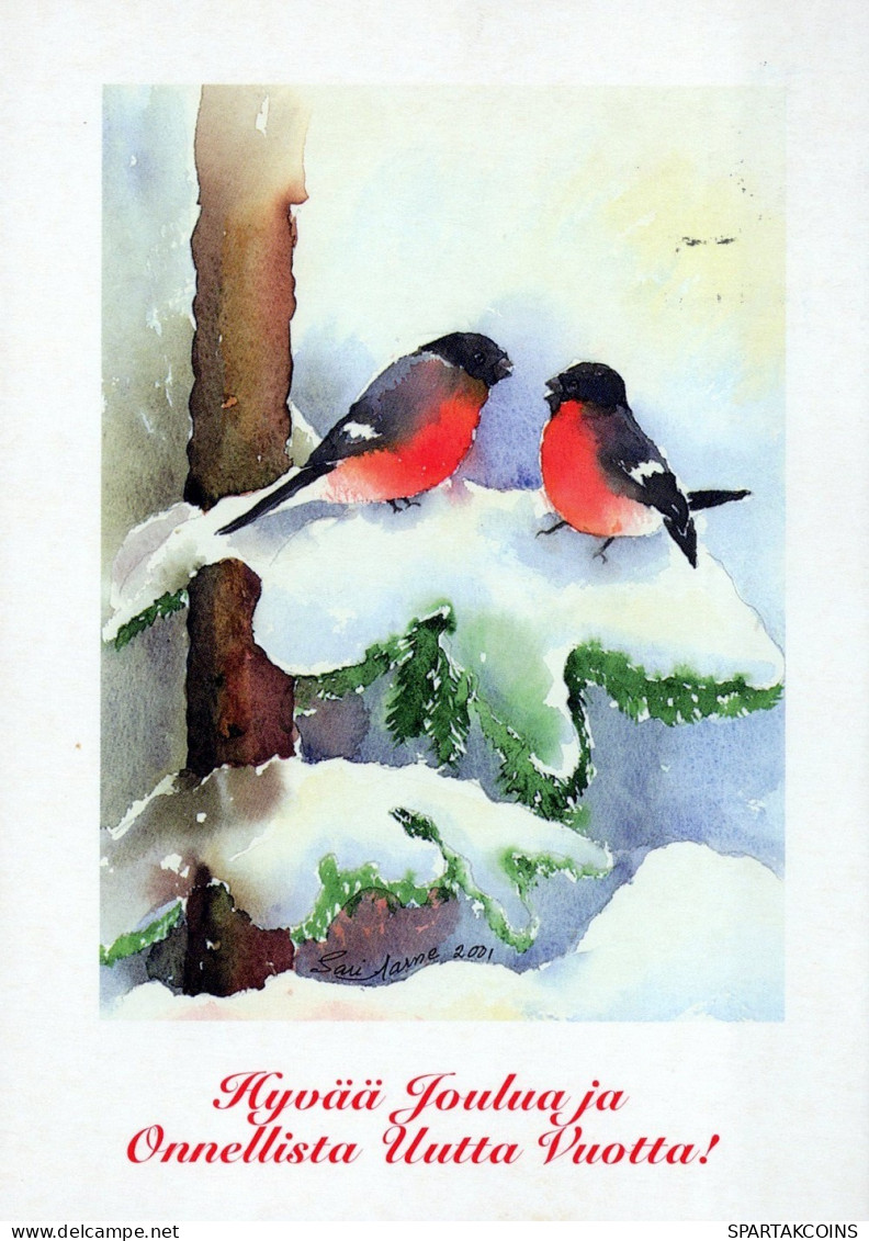 BIRD Animals Vintage Postcard CPSM #PAM931.GB - Oiseaux