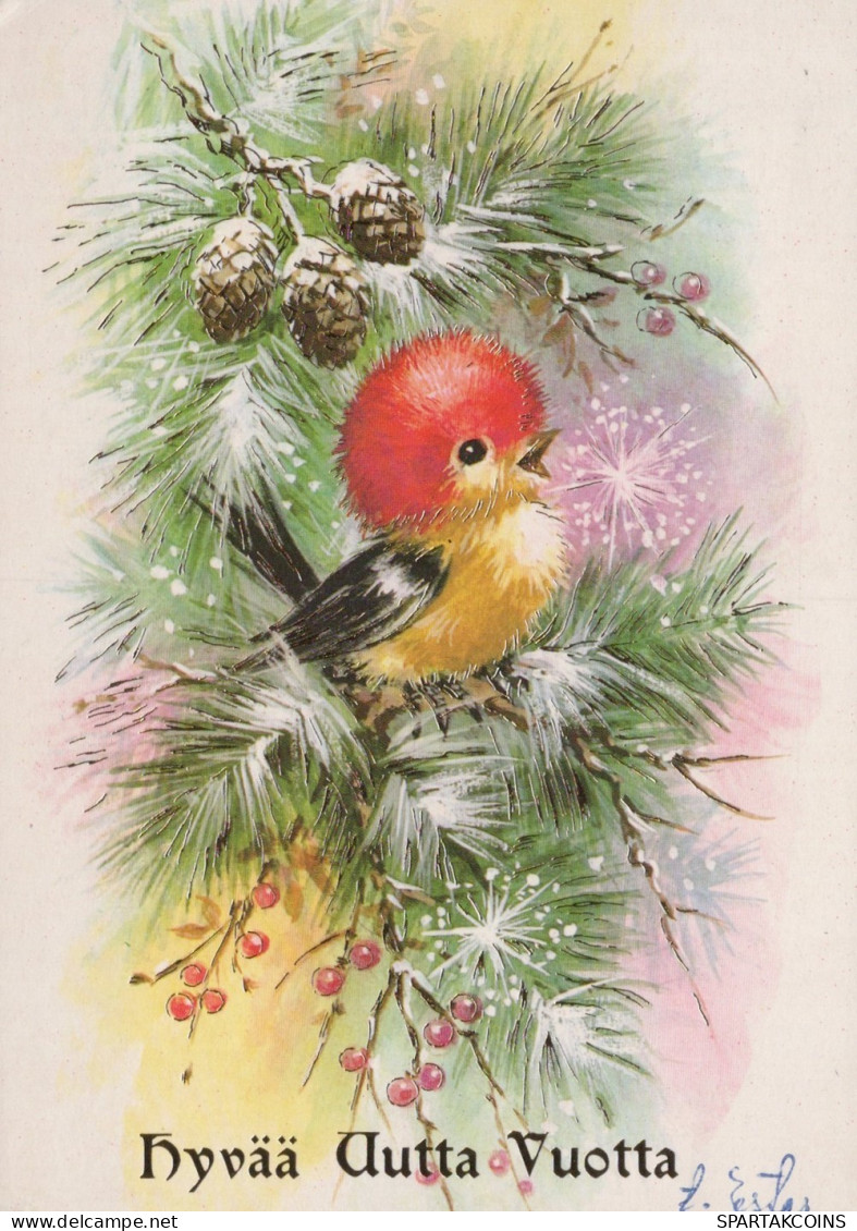 BIRD Animals Vintage Postcard CPSM #PAM746.GB - Oiseaux