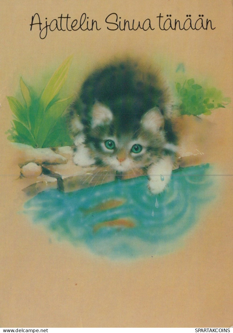 CAT KITTY Animals Vintage Postcard CPSM #PAM116.GB - Gatos