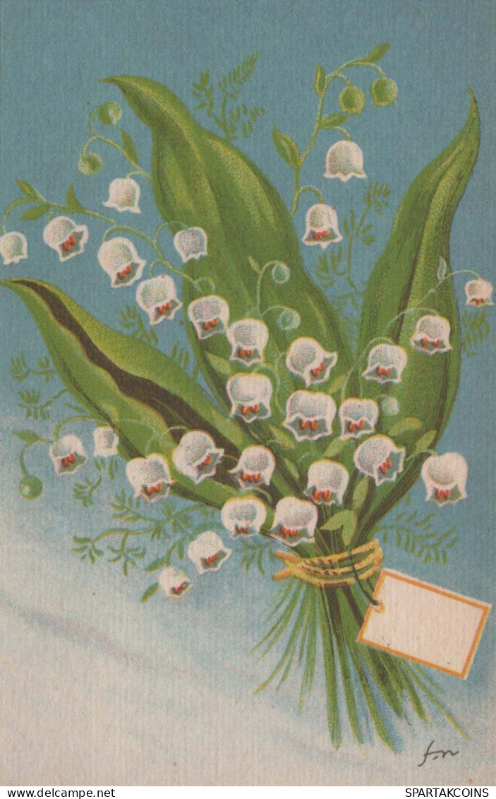 FLEURS Vintage Carte Postale CPSMPF #PKG045.FR - Flowers