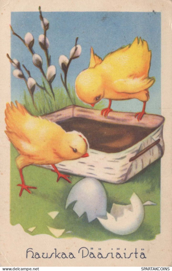 PÂQUES POULET ŒUF Vintage Carte Postale CPA #PKE308.FR - Easter