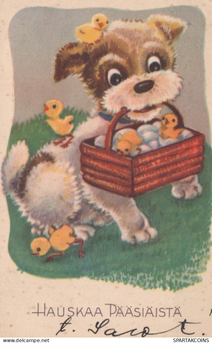 PÂQUES FLEURS Vintage Carte Postale CPA #PKE182.FR - Easter