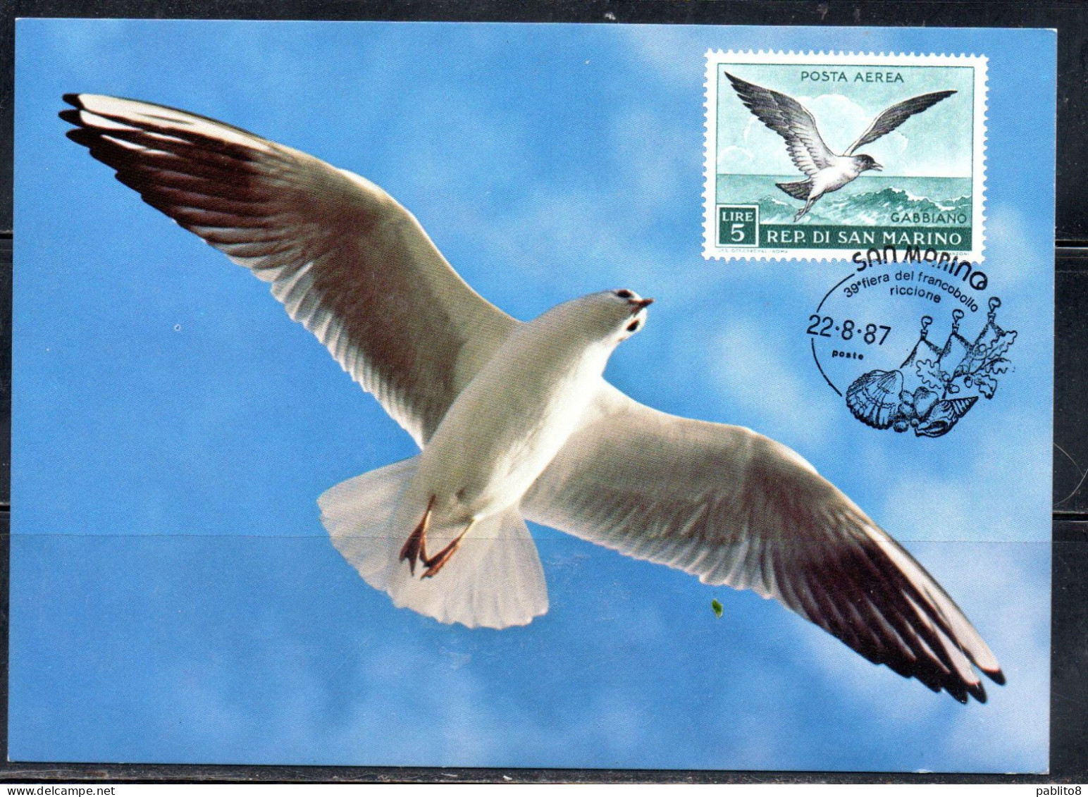 REPUBBLICA DI SAN MARINO 1959 POSTA AEREA UCCELLI BIRDS GABBIANO LIRE 5 MAXI MAXIMUM CARD CARTOLINA CARTE - FDC