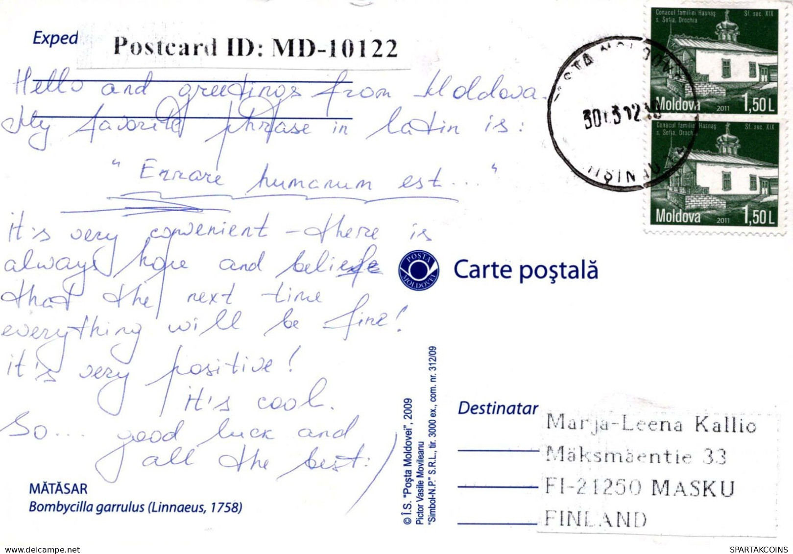 OISEAU Animaux Vintage Carte Postale CPSM #PBR373.FR - Pájaros