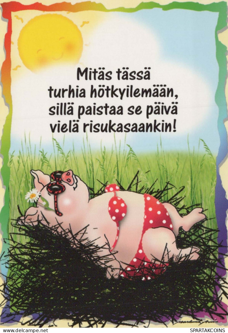 PORCS Animaux Vintage Carte Postale CPSM #PBR750.FR - Schweine