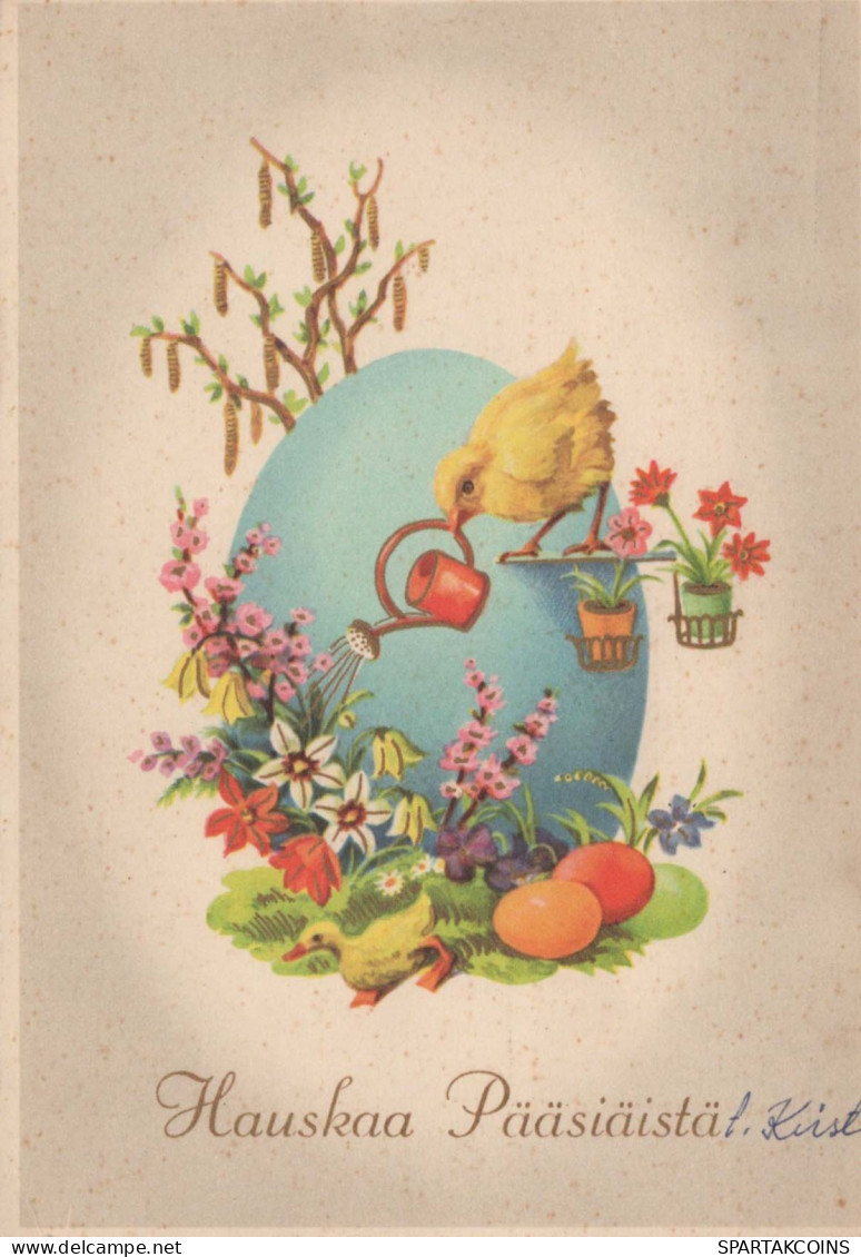 PÂQUES POULET ŒUF Vintage Carte Postale CPSM #PBP053.FR - Ostern