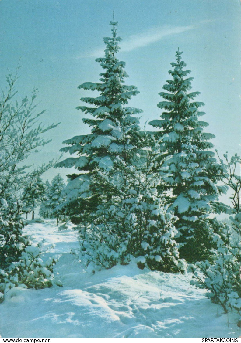 Buon Anno Natale Vintage Cartolina CPSM #PAT824.IT - Neujahr