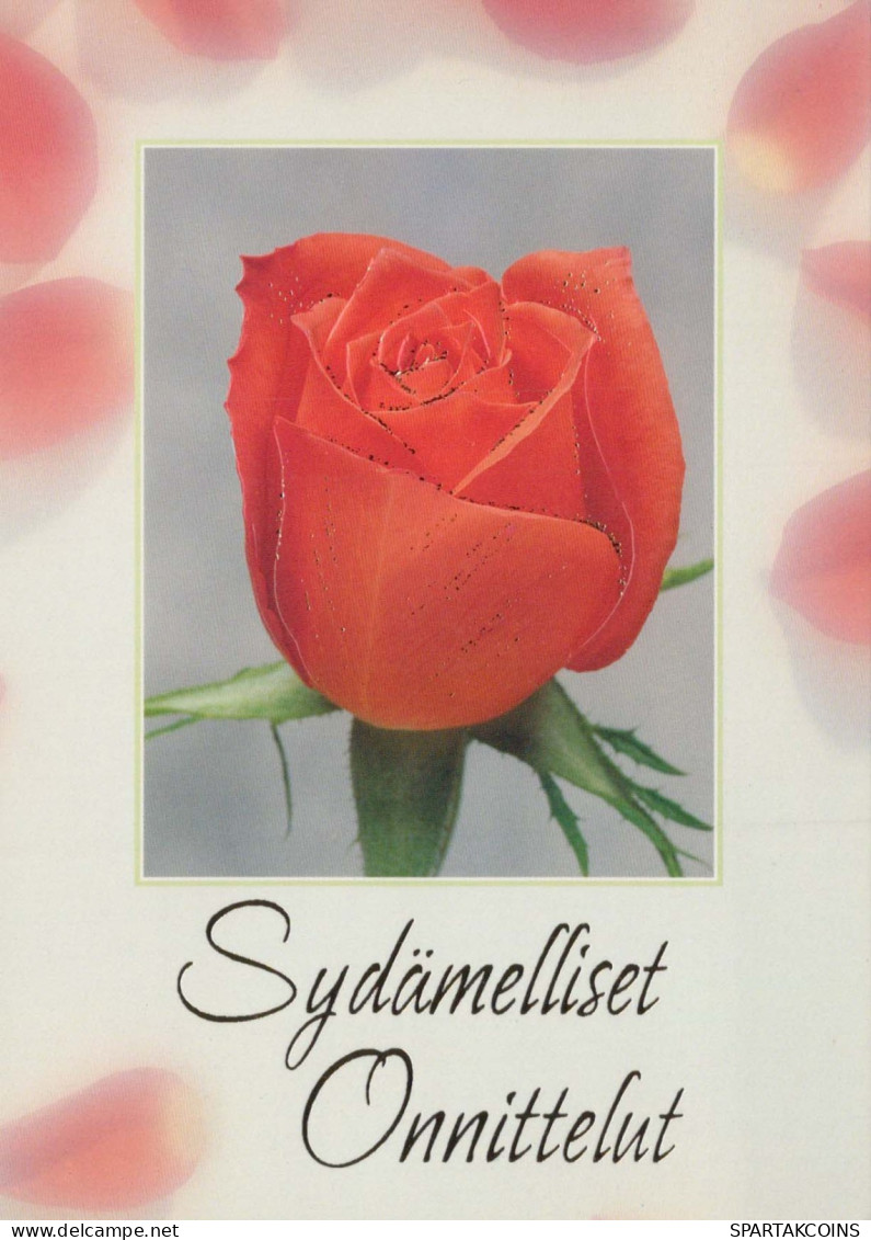 FIORI Vintage Cartolina CPSM #PAS222.IT - Fleurs