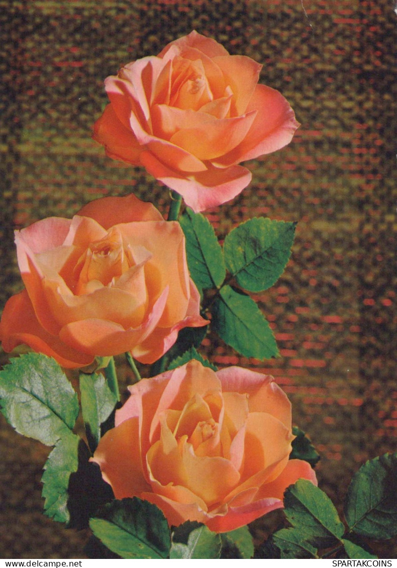 FIORI Vintage Cartolina CPSM #PAR981.IT - Flowers