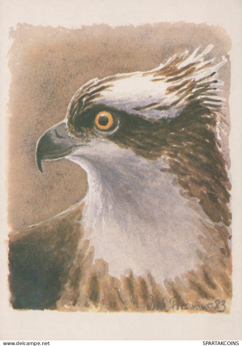 UCCELLO Animale Vintage Cartolina CPSM #PAN306.IT - Oiseaux