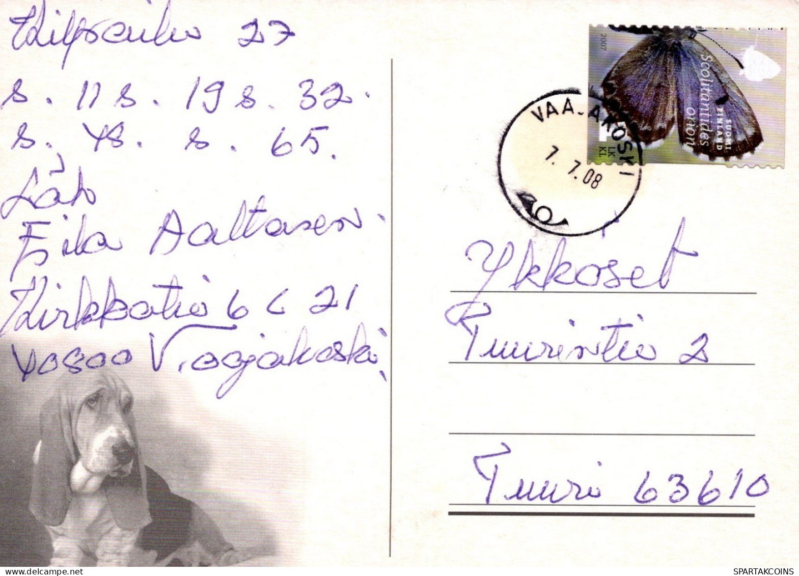 CANE Animale Vintage Cartolina CPSM #PAN430.IT - Chiens
