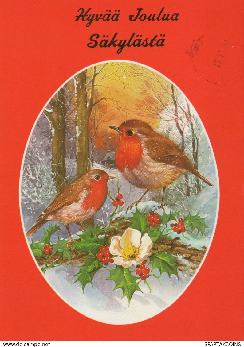 UCCELLO Animale Vintage Cartolina CPSM #PAM936.IT - Vogels