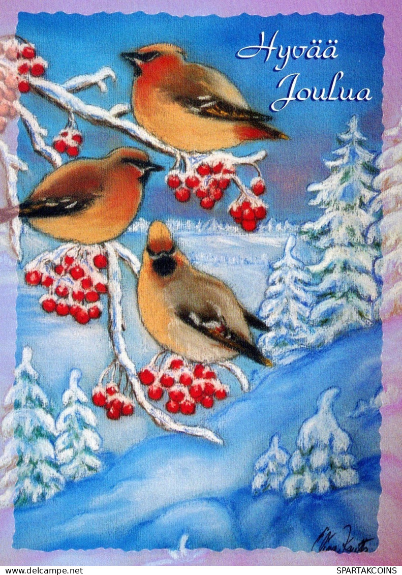 UCCELLO Animale Vintage Cartolina CPSM #PAM873.IT - Vögel