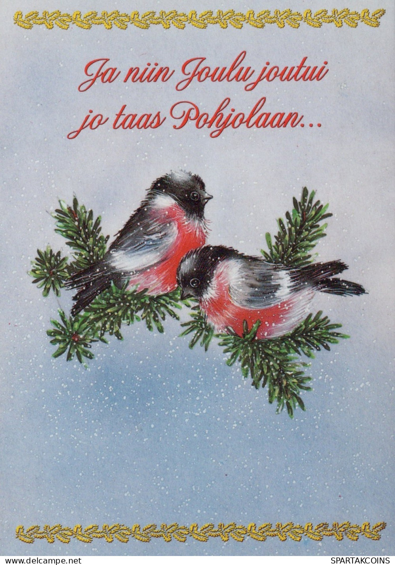 UCCELLO Animale Vintage Cartolina CPSM Unposted #PAM999.IT - Vogels