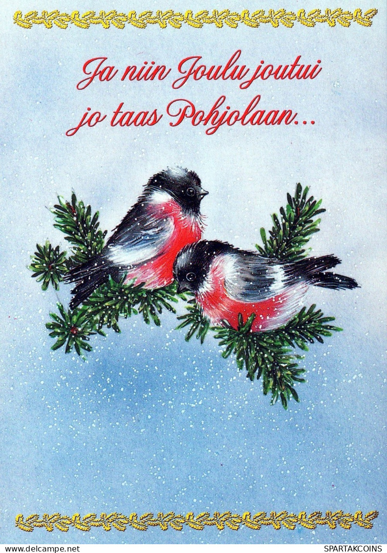 UCCELLO Animale Vintage Cartolina CPSM Unposted #PAM999.IT - Birds