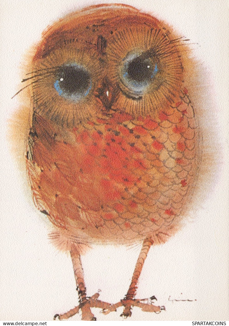 UCCELLO Animale Vintage Cartolina CPSM #PAM687.IT - Pájaros