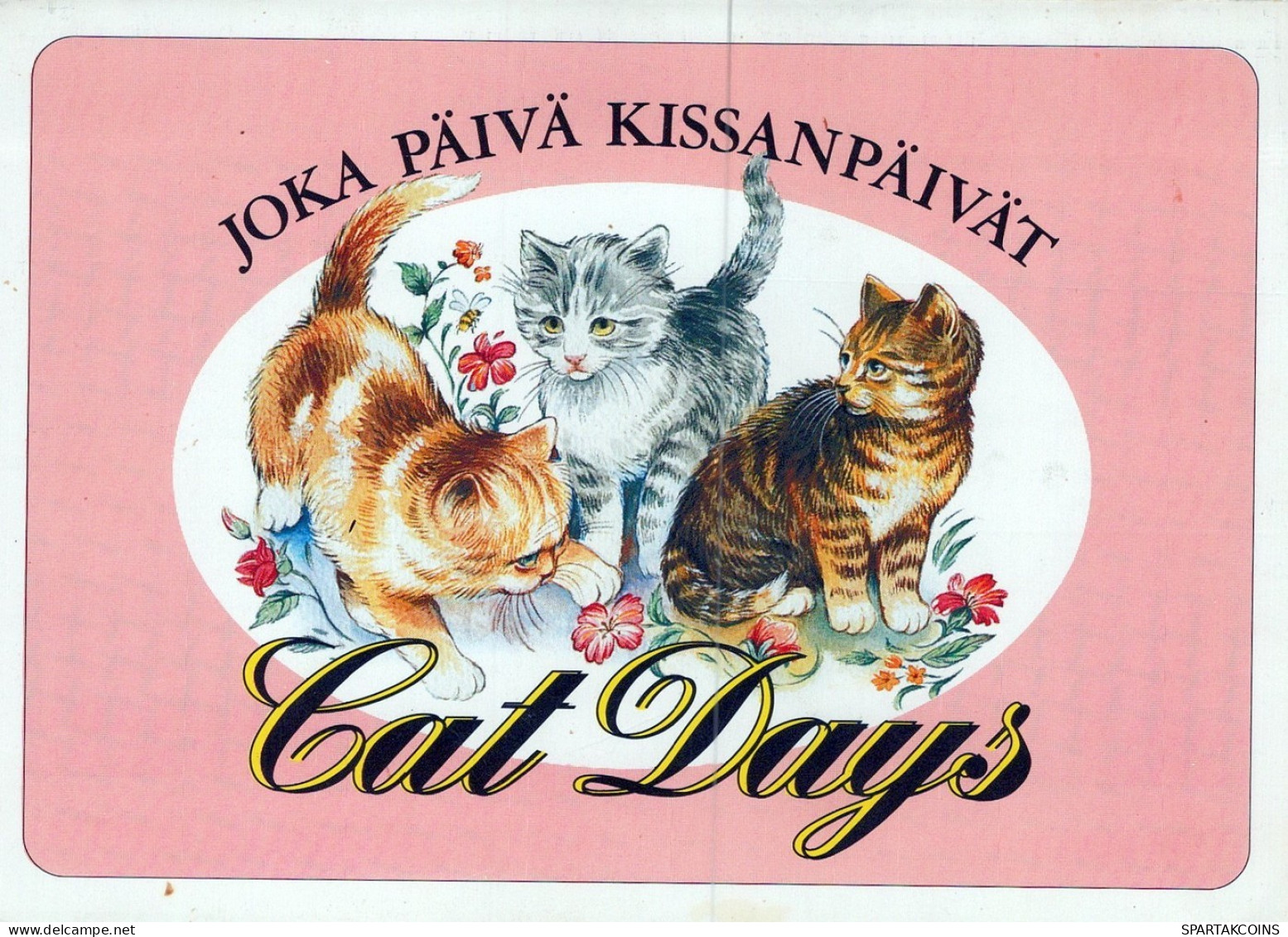 GATTO KITTY Animale Vintage Cartolina CPSM Unposted #PAM434.IT - Gatos