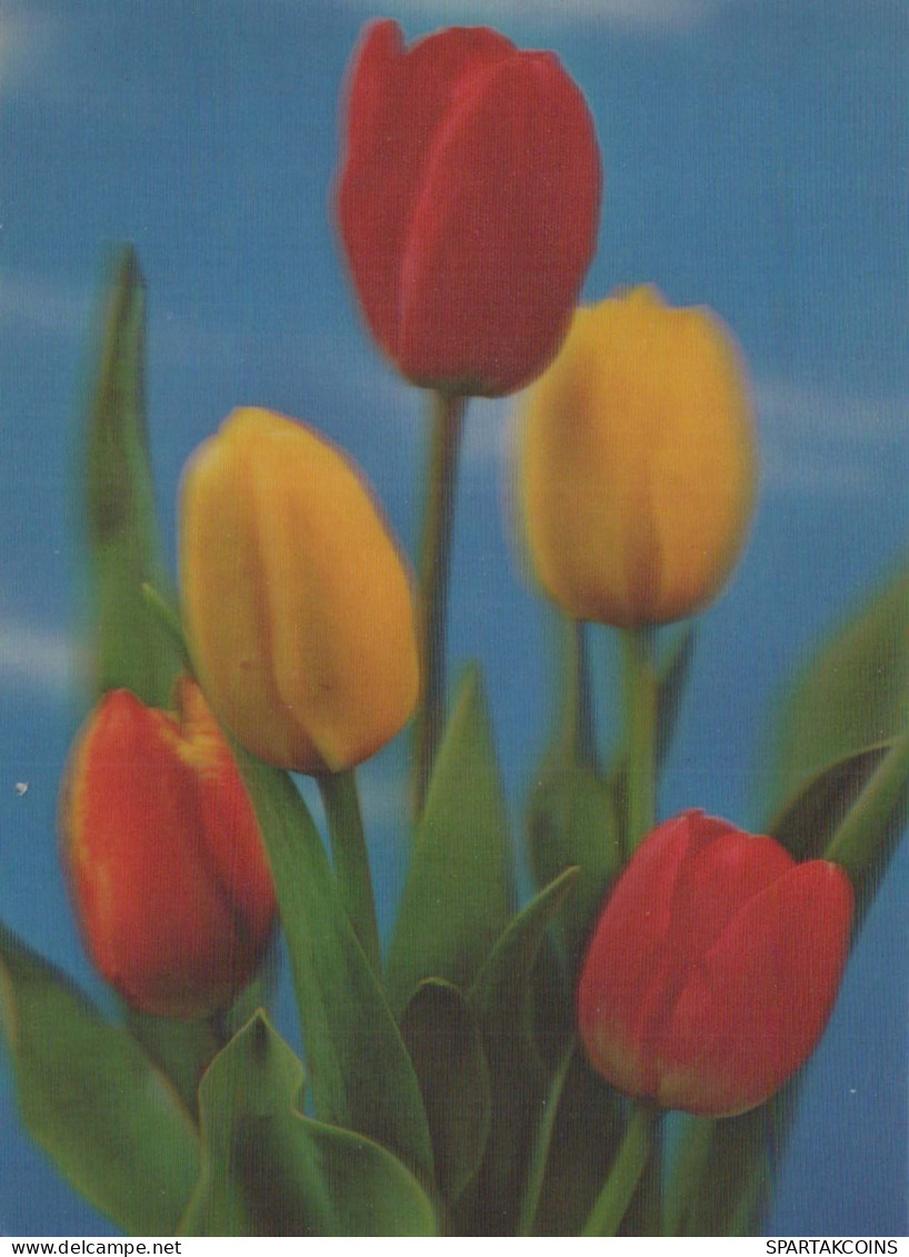 FLOWERS LENTICULAR 3D Vintage Postcard CPSM #PAZ174.GB - Flowers